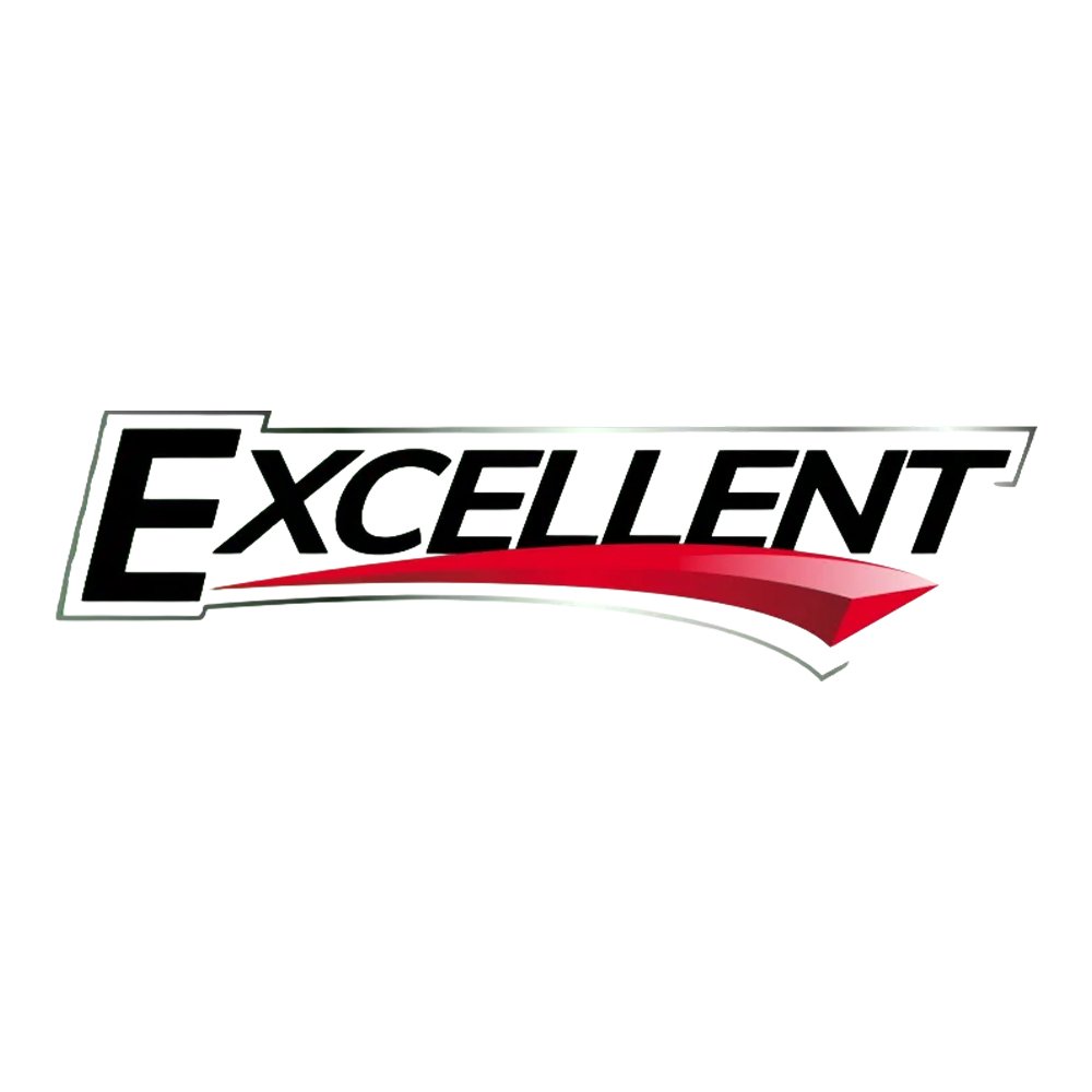 Excellent Logo